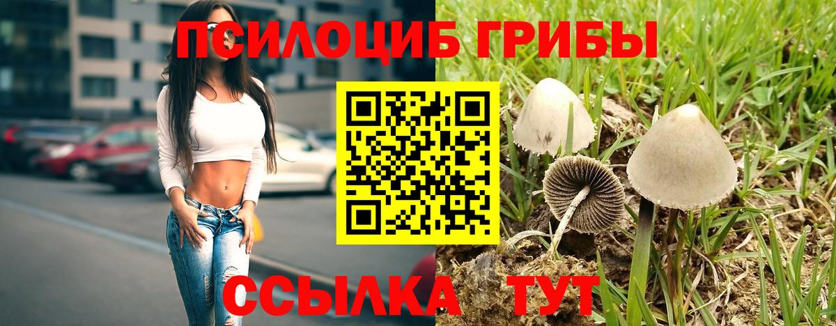 Псилоцибиновые грибы MAGIC MUSHROOMS Южноуральск